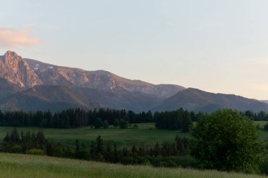 Gün batımında Zakopane 'deki Polonya Kapratian Dağları' nın güzel manzarası. Güzel yeşil çimenler, pembe ve mor gökyüzü ve Polonya 'da Rysy ve Morse Oko kayaları..