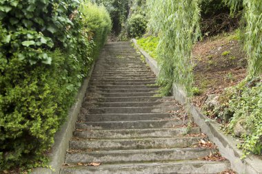 Frantsiya.Nitstsa.Ez.