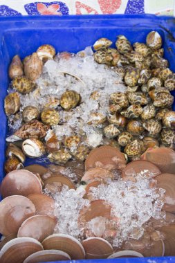 Güneydoğu Asya. Tayland. Phatthaya.