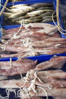 Güneydoğu Asya. Tayland. Phatthaya.