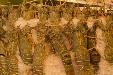 Güneydoğu Asya. Tayland. Phatthaya.