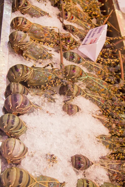 Güneydoğu Asya. Tayland. Phatthaya.