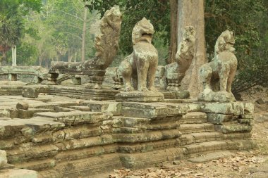 Cambodia.Angkor Wat.Ангко́р-Ват