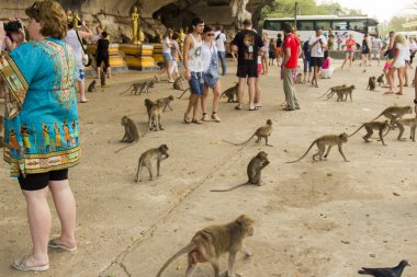 - Güneydoğu Asya. Tayland.