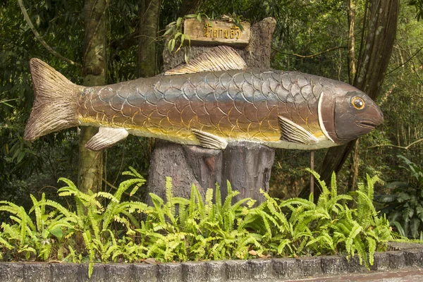 - Sud-est asiatico. Tailandia . — Foto Stock