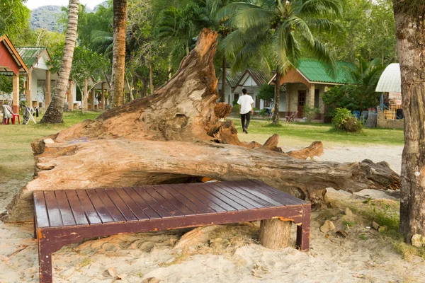 Sureste de Aziya . — Foto de Stock