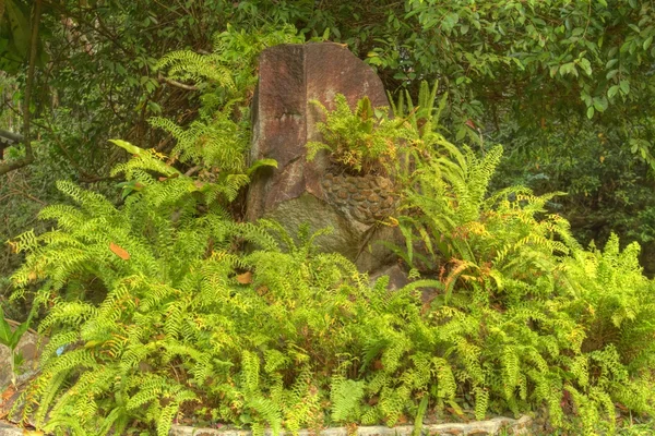 Zuid-Oost Azië. — Stockfoto