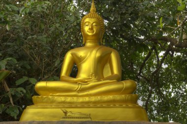 Tayland. Phuket