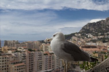 Monako.Monte Carlo