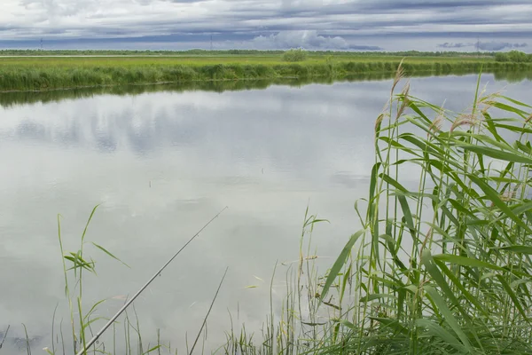 Zomer landschap — Stockfoto