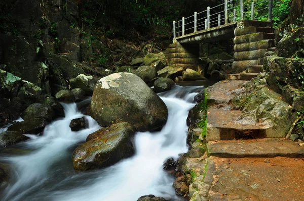 Tayland 'da Şelale.