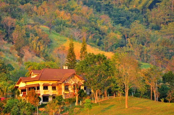 House among the forest — Stock Photo, Image