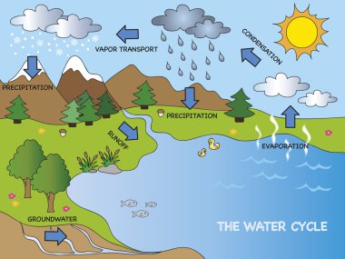 water cycle clipart