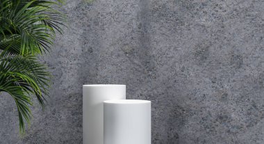 Ürün sunumu için gölge ve doku duvarlı 3D podyum. 3B görüntüleme.