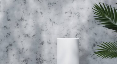 Ürün sunumu için gölge ve doku duvarlı 3D podyum. 3B görüntüleme.