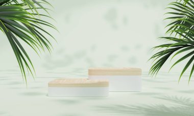 Renkli pastel arka planı ve ağaç veya yaprak standı olan podyum ya da reklam ekranında boş arka planlı podyum kaidesi. 3B görüntüleme.
