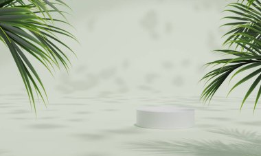 Renkli pastel arka planı ve ağaç veya yaprak standı olan podyum ya da reklam ekranında boş arka planlı podyum kaidesi. 3B görüntüleme.
