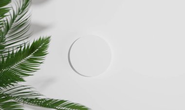 Renkli arka plan snd ağaç standına sahip Topview ya da boş arkaplanlı reklam ekranında podyum. 3B görüntüleme.