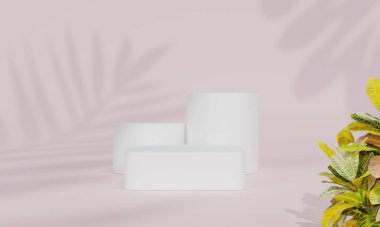 Renkli pastel arka planı ve ağaç veya yaprak standı olan podyum ya da reklam ekranında boş arka planlı podyum kaidesi. 3B görüntüleme.