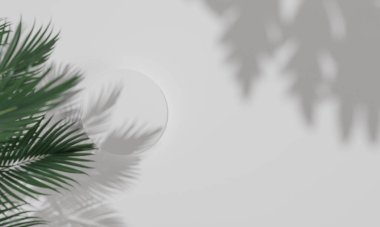 Renkli arka plan snd ağaç standına sahip Topview ya da boş arkaplanlı reklam ekranında podyum. 3B görüntüleme.