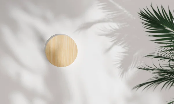멀구슬나무의 스탠드 진열장을 사용하여 토픽을 렌더링 — 스톡 사진