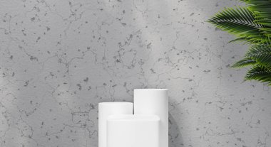 Ürün sunumu için gölge, ağaç ve doku duvarlı 3D kürsü rafı. 3B görüntüleme.