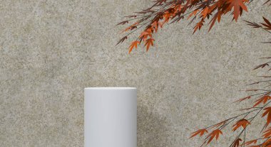 Ürün sunumu için gölge ve doku duvarlı 3D podyum. 3B görüntüleme.