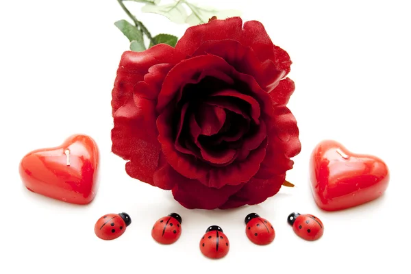 Rosa vermelha com velas de coração — Fotografia de Stock