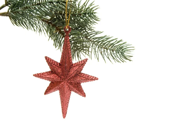 Christmas star Royalty Free Stock Images