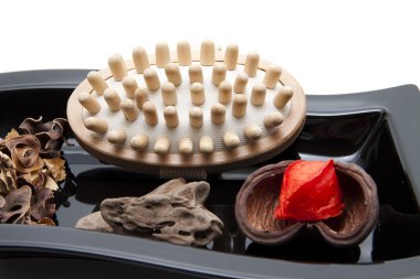 fındık kabuğu ile masaj fırçası