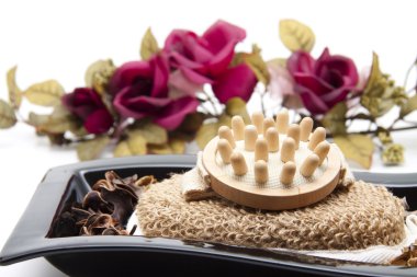 Masaj Masaj sünger fırça