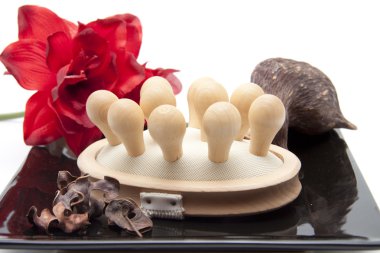 Masaj fırçası ile çiçek