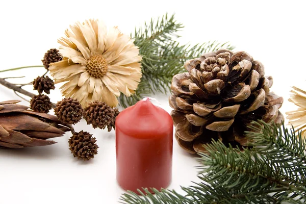 Wax candle with pine plug — Stock Photo, Image