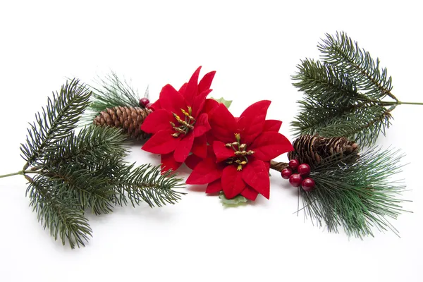 Christmas star — Stock Photo, Image