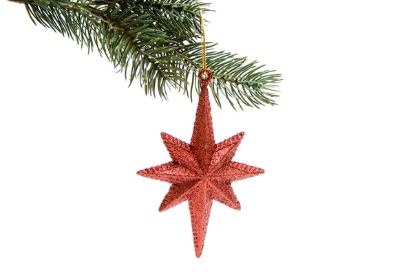 Christmas star — Stock Photo, Image