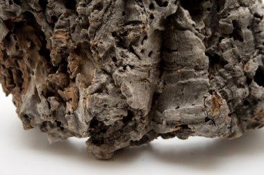 Trunk dekorasyon için