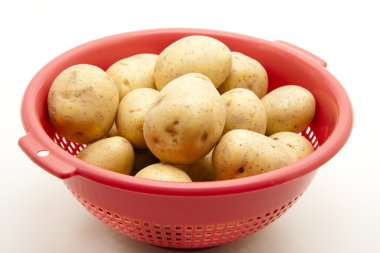 taze patates