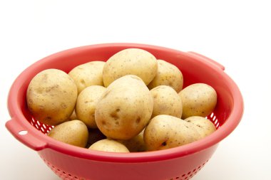 taze patates