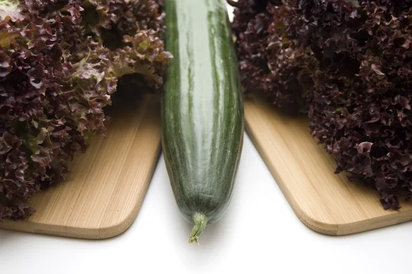 Salat met komkommer — Stockfoto