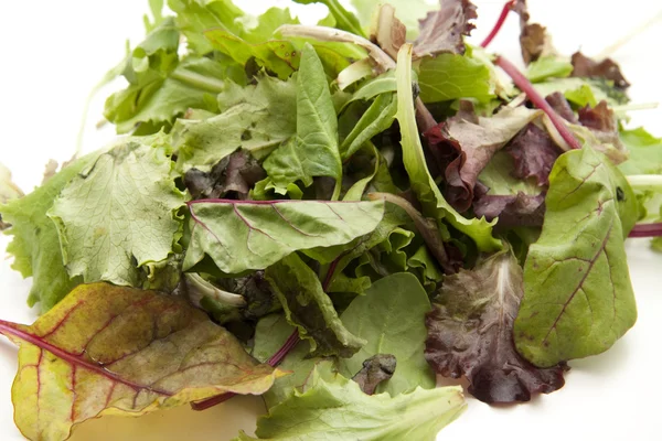 Mixed salad — Stock Photo, Image