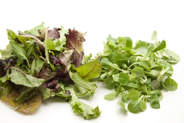 Fresh field Salad — Stock Photo, Image