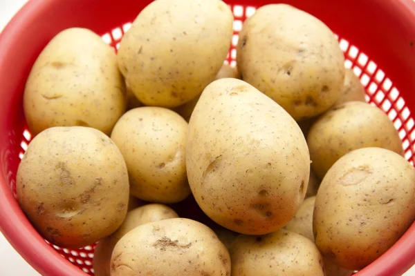 Färsk potatis — Stockfoto