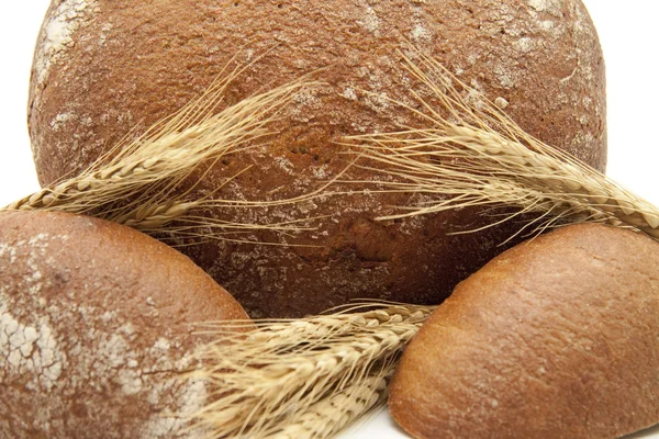 Frisches Krustenbrot — Stockfoto