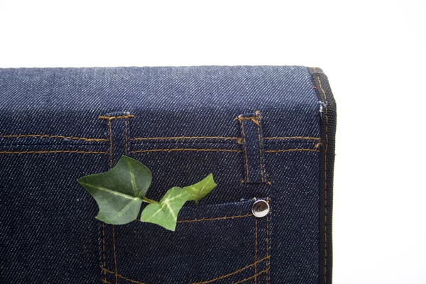 Bolso de Jeans com folhas verdes — Fotografia de Stock