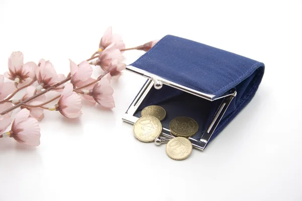 Money in blue purse — Stock Photo, Image