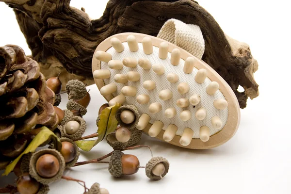 Szczotka do masażu z żołędzi — Zdjęcie stockowe