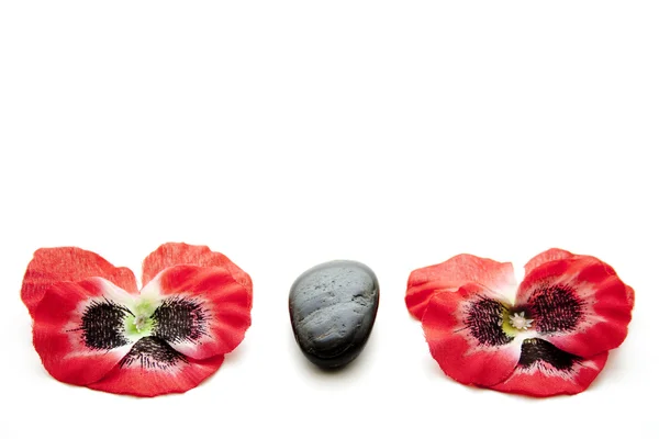 Blomster med Black Stone - Stock-foto