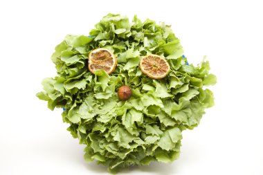 taze hindiba salatası