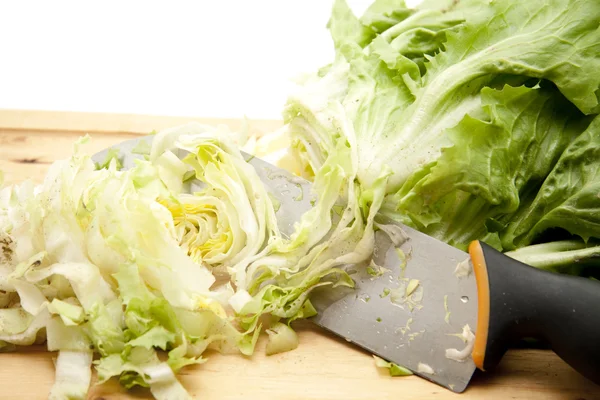 Frischer Endiviensalat — Stockfoto