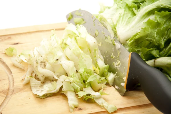 Salade van verse andijvie — Stockfoto